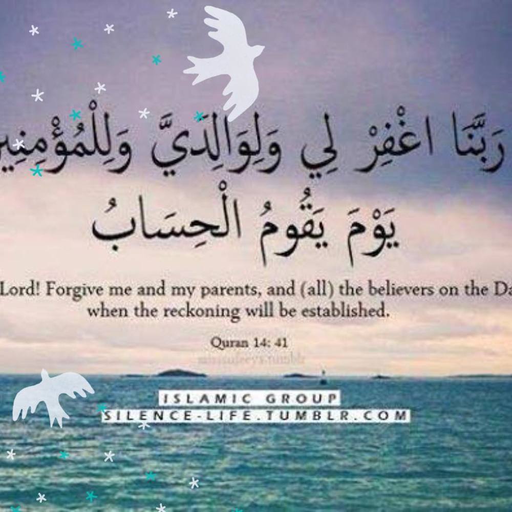 Meet your Posher, Shazia